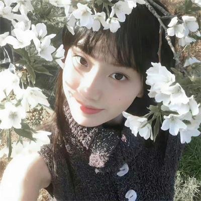 白雾谜岸